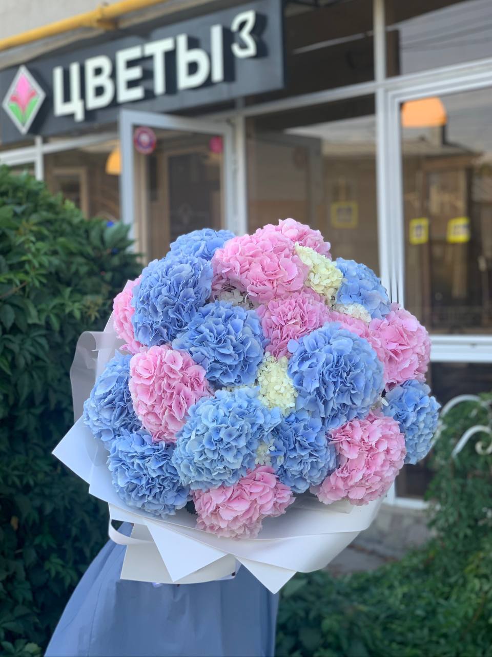 Большой букет голубых и розовых гортензий